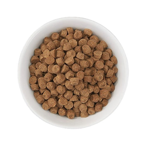 Tiki Cat Born Carnivore High Protein Herring & Salmon Dry Cat Food 5.6lb Poudre Pet & Feed Supply 3